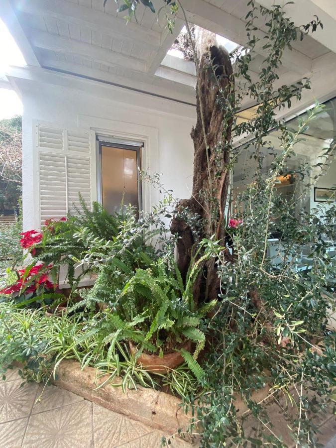 Appartamento La Torretta 蒙德罗 外观 照片